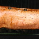 Ganze Sau am Spieß