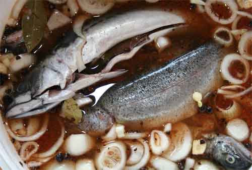 Sud-für-den-Räucherfisch