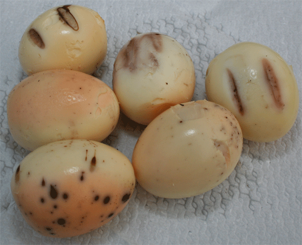 gekochte-BBQ-Eier-nach-dem-Räuchern